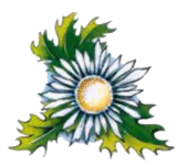Logo du dictionnaire du patois vaudois